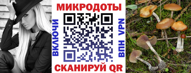 Псилоцибиновые грибы Magic Shrooms купить Гороховец